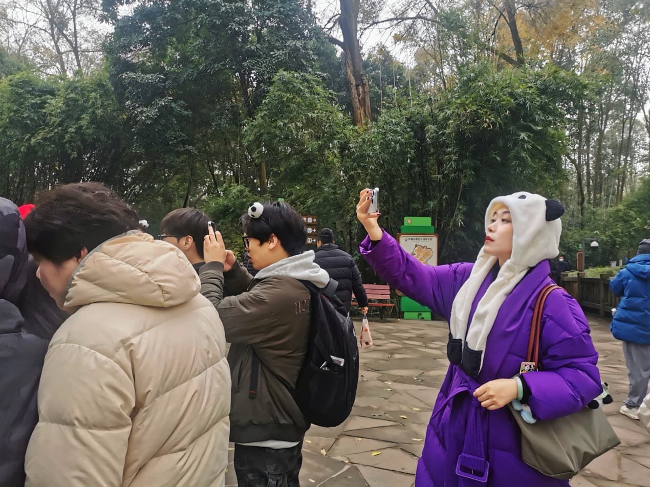 Video thumbnail: pandas and their fans