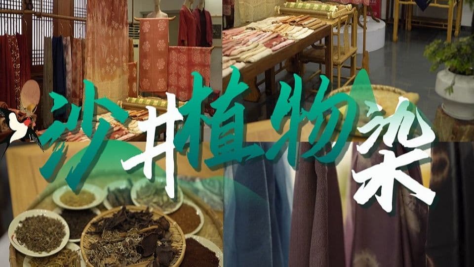 龙大学生"探秘"植物染非遗!沙井陈师傅的染色魔法